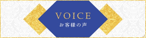 VOICE